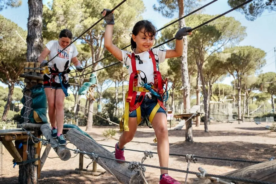 Kids enjoying a rope adventure course in a forest park